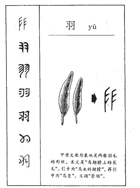 羽的意思名字|羽字起名寓意、羽字五行和姓名学含义